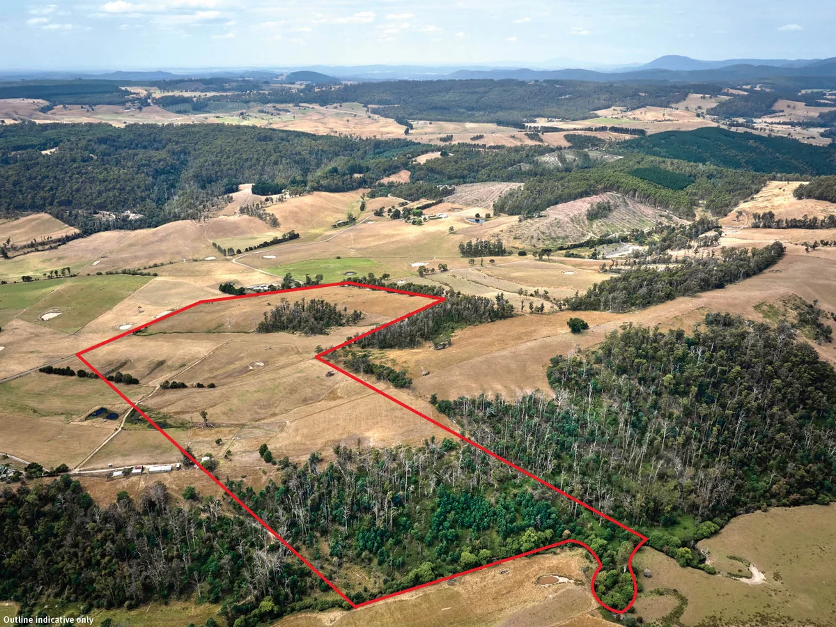 110a Paling Track, Bangor TAS 7267