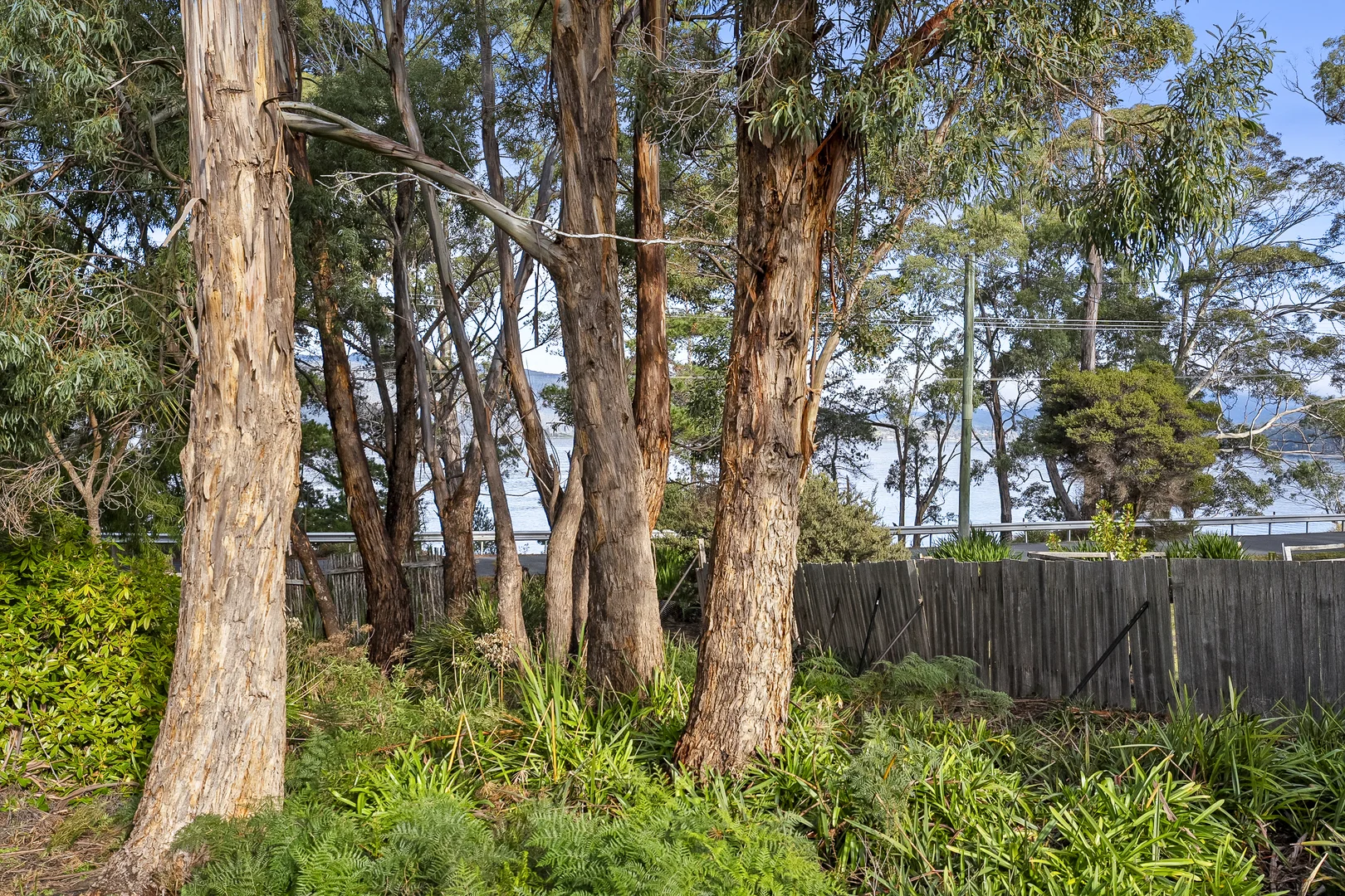 Additional image 28 of 237 Kent Beach Road, Dover TAS 7117