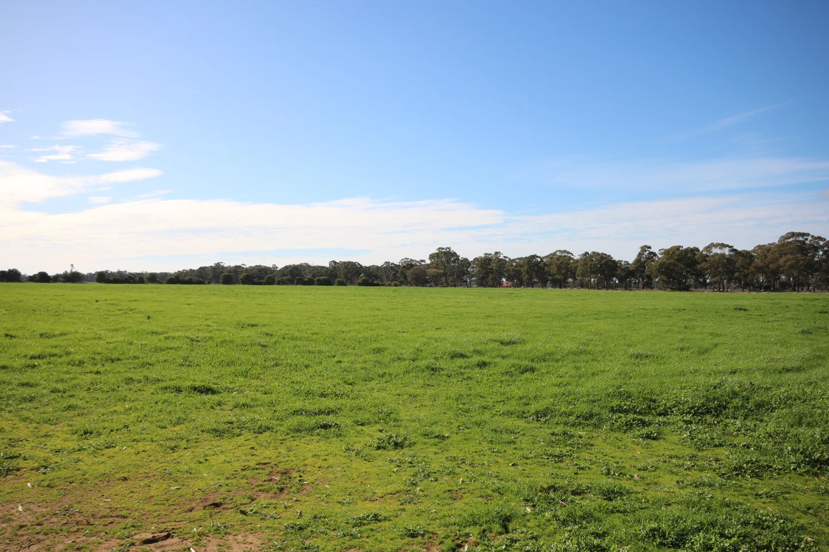 Additional image 2 of 25 Trewicks Road, Elmore VIC 3558