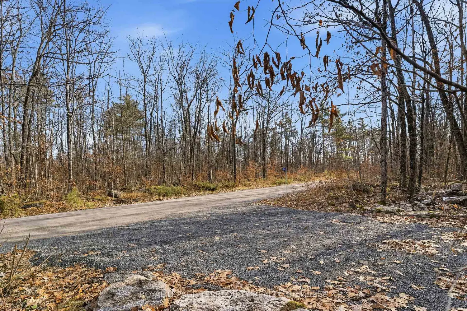 Additional image 10 of 64 Maple Road