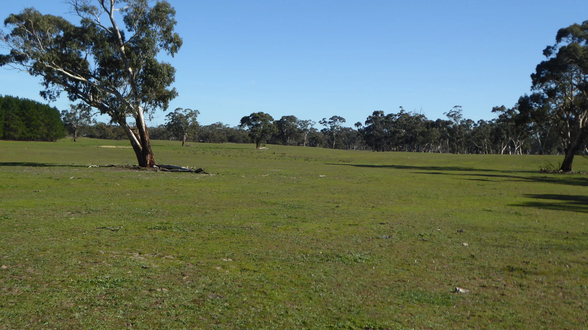 Additional image 23 of 2147 Bangham Road, Frances SA 5262