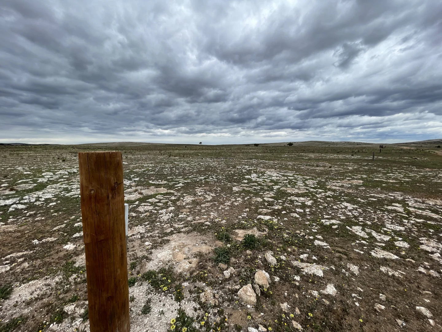 Additional image 3 of 1 Section 217, 217 & 219, Bramfield SA 5670