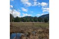 Additional image 16 of 252 Blackledge Rd, Carson, WA, 98610