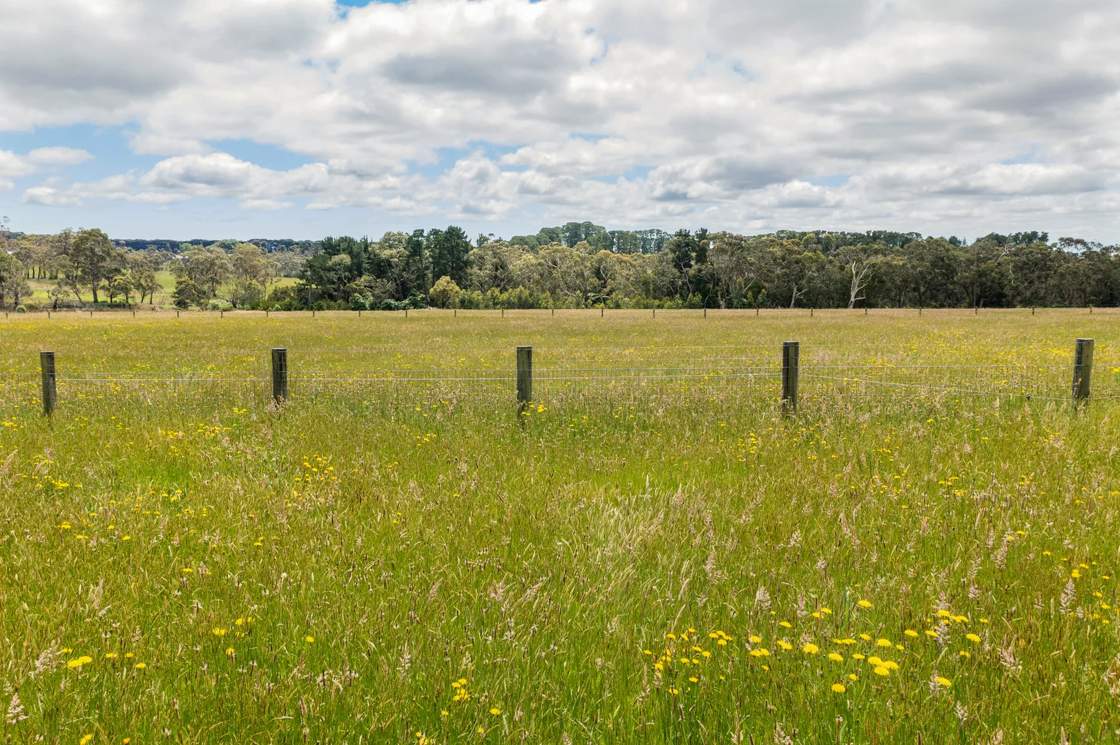 Additional image 10 of 8 Wonderland Avenue, Tuerong VIC 3915