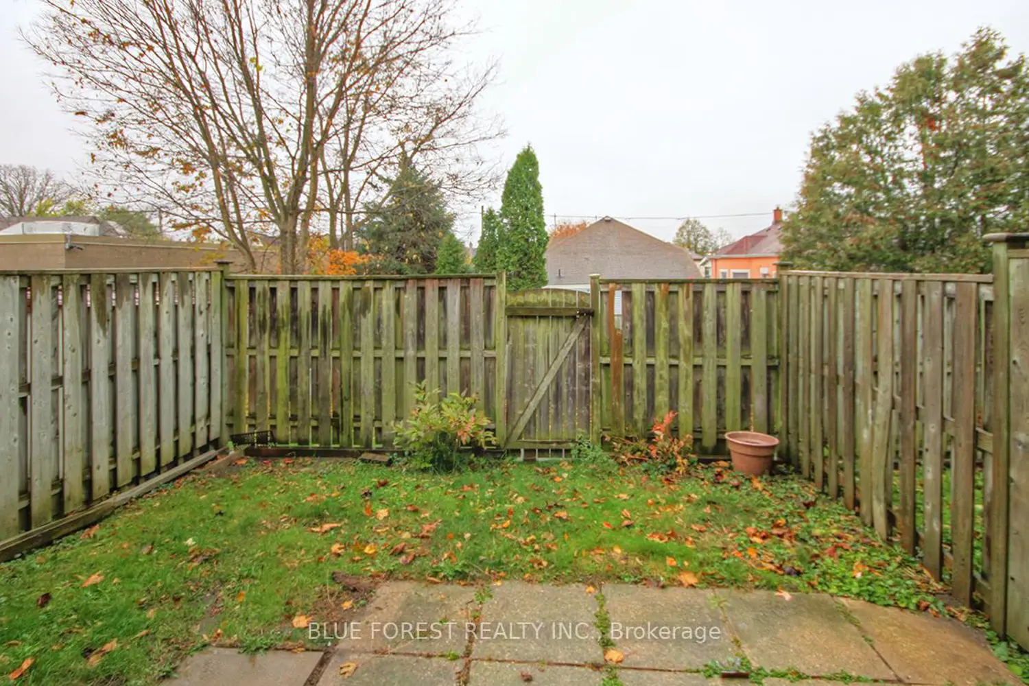 Additional image 19 of 690 Little Grey Street 100