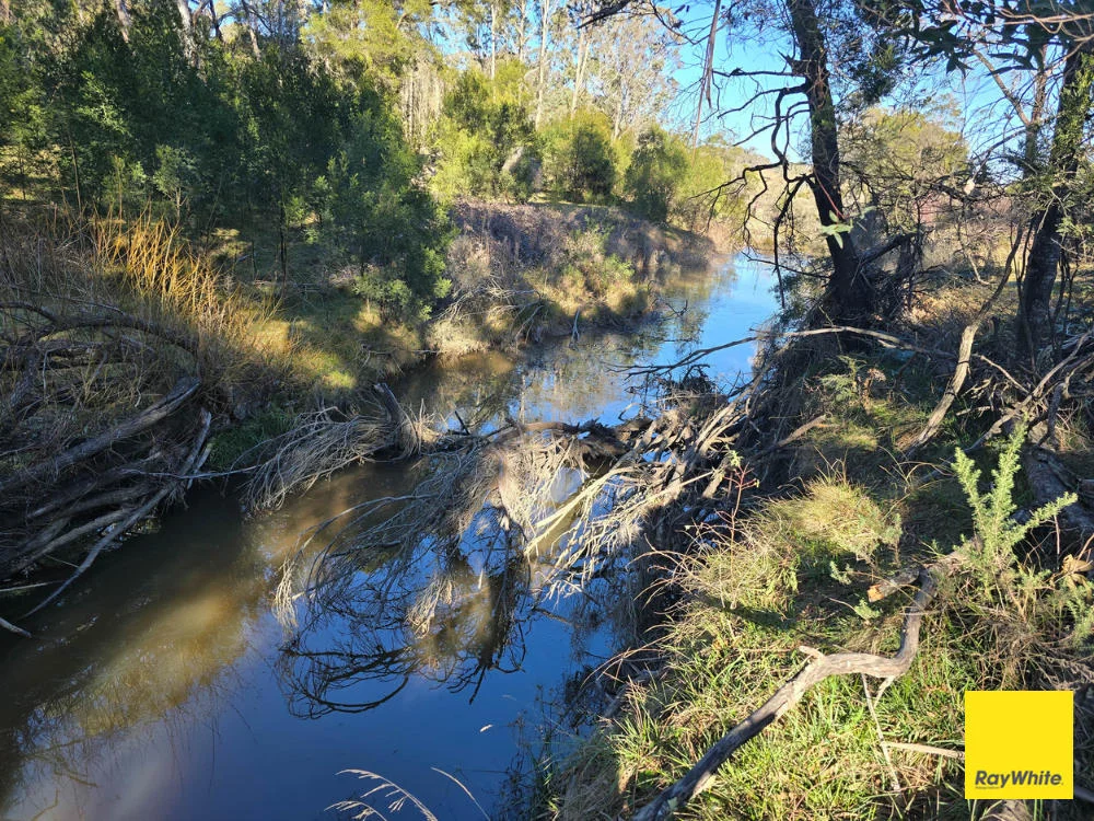 Additional image 11 of 270 Pine Bank Drive, Lower Boro NSW 2580