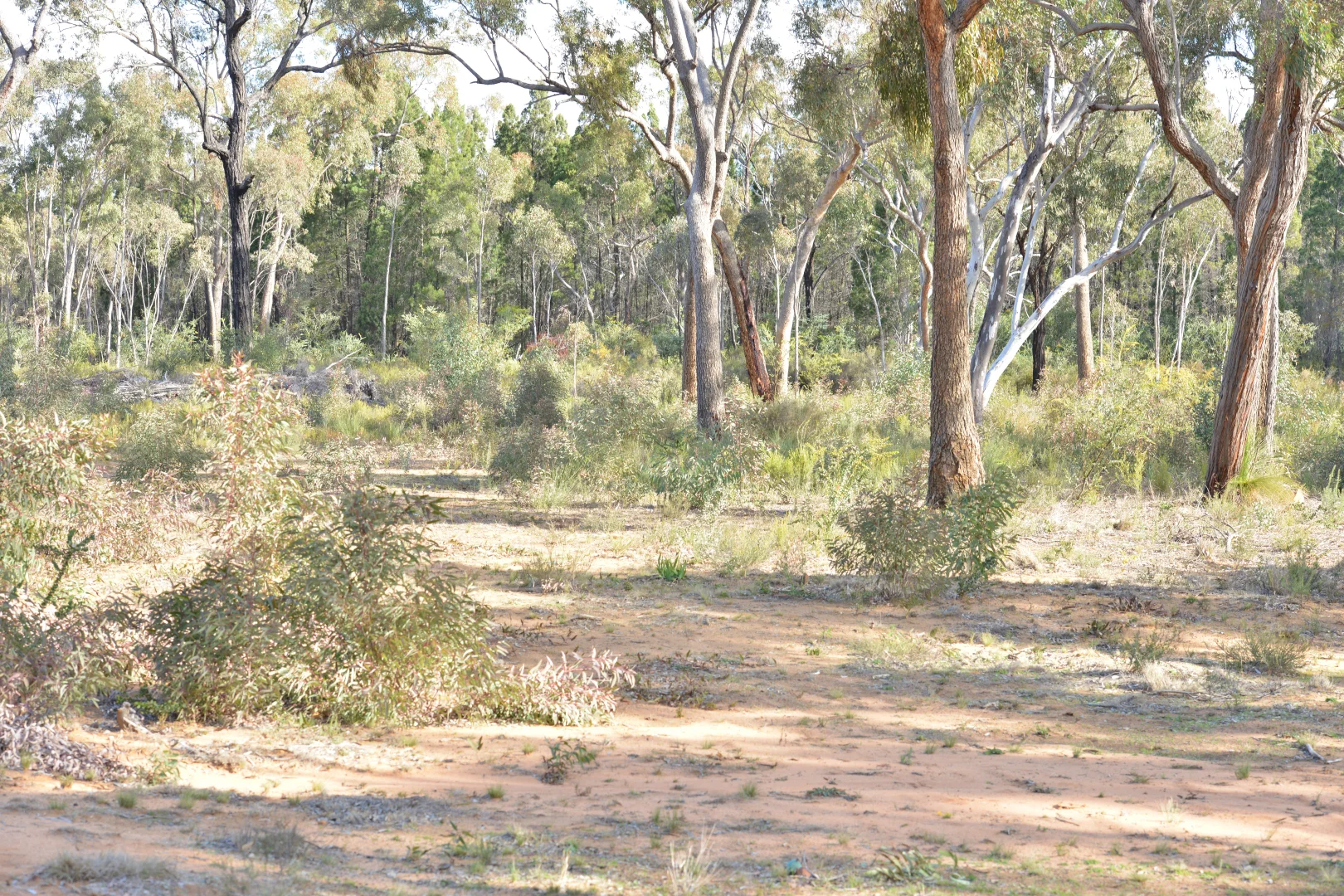 Additional image 14 of 97 Aquilla Ave, Dandry NSW 2357