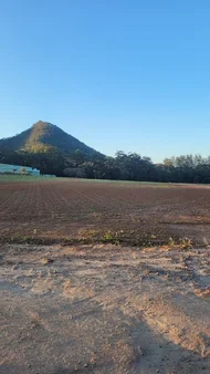 Additional image 4 of Beerwah QLD 4519