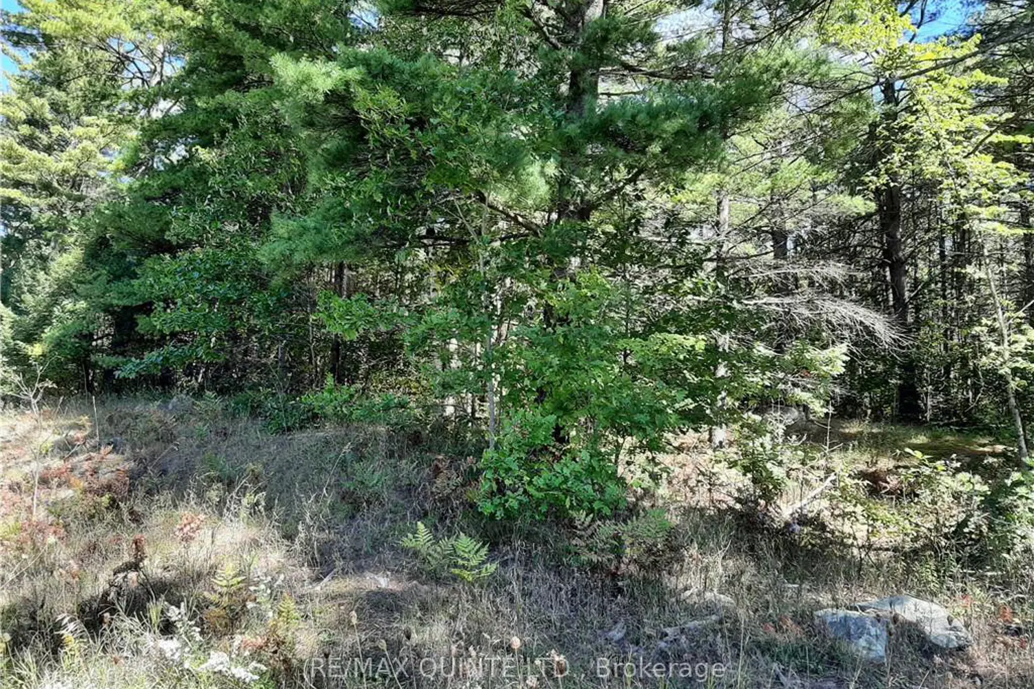 Additional image 6 of 0 Pt Lt12 Con14 Hwy 37 Road