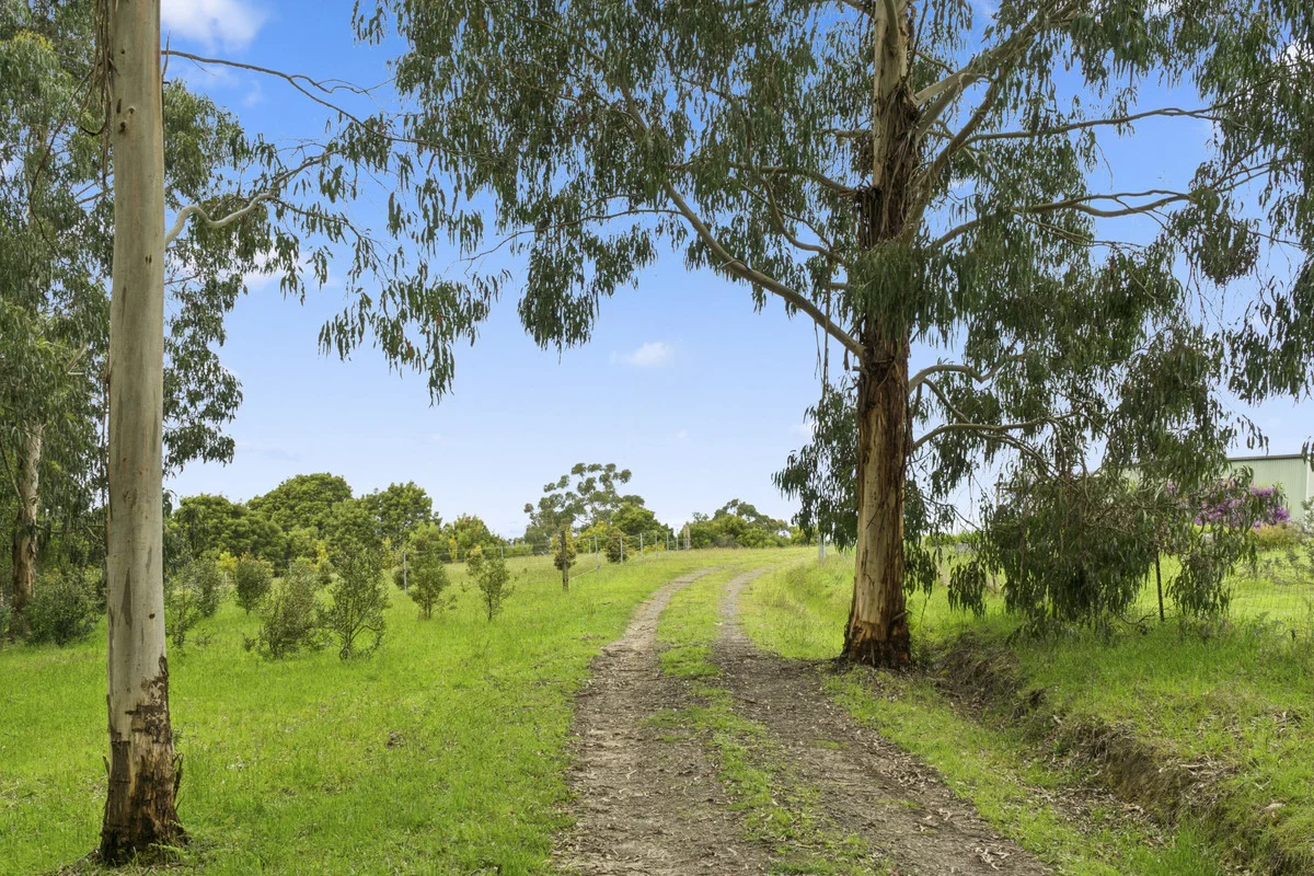 Additional image 4 of 640 Forrest-Apollo Bay Road, Barramunga VIC 3249
