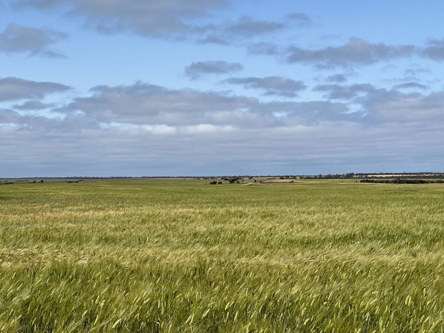 Additional image 16 of 2501 Hyden Norseman Road, Hyden WA 6359