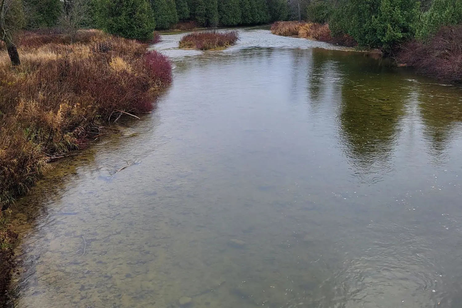 Additional image 4 of Lot 37 Con 2 Ndr