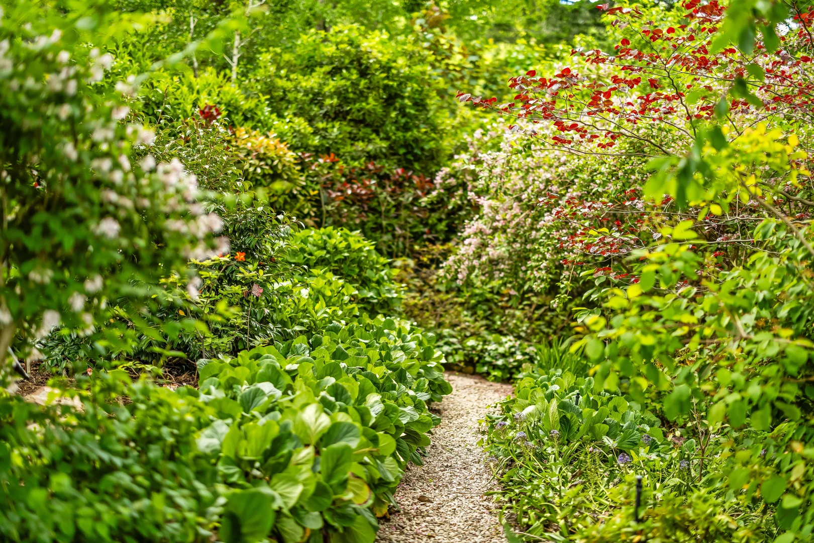 Additional image 46 of 16 Birch Road, Stirling SA 5152