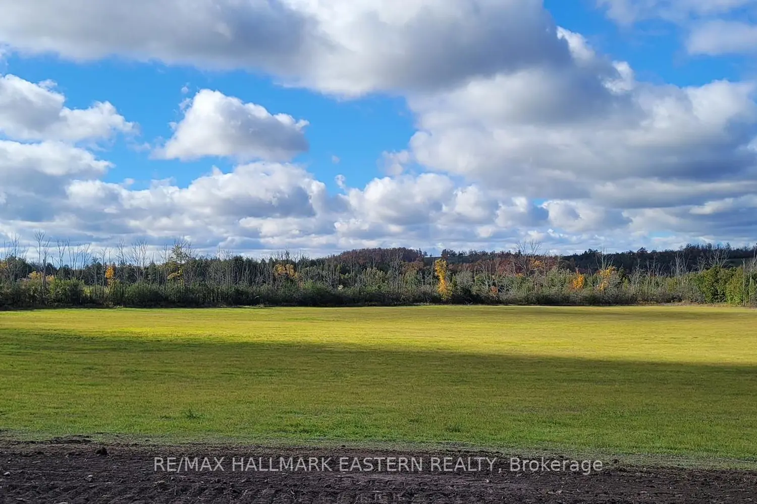 Additional image 9 of 323 Orange Corners Road