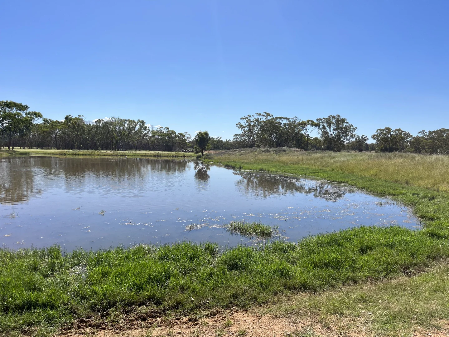 Additional image 27 of "Glendale"/4666 Mitchell Highway, Girilambone NSW 2831