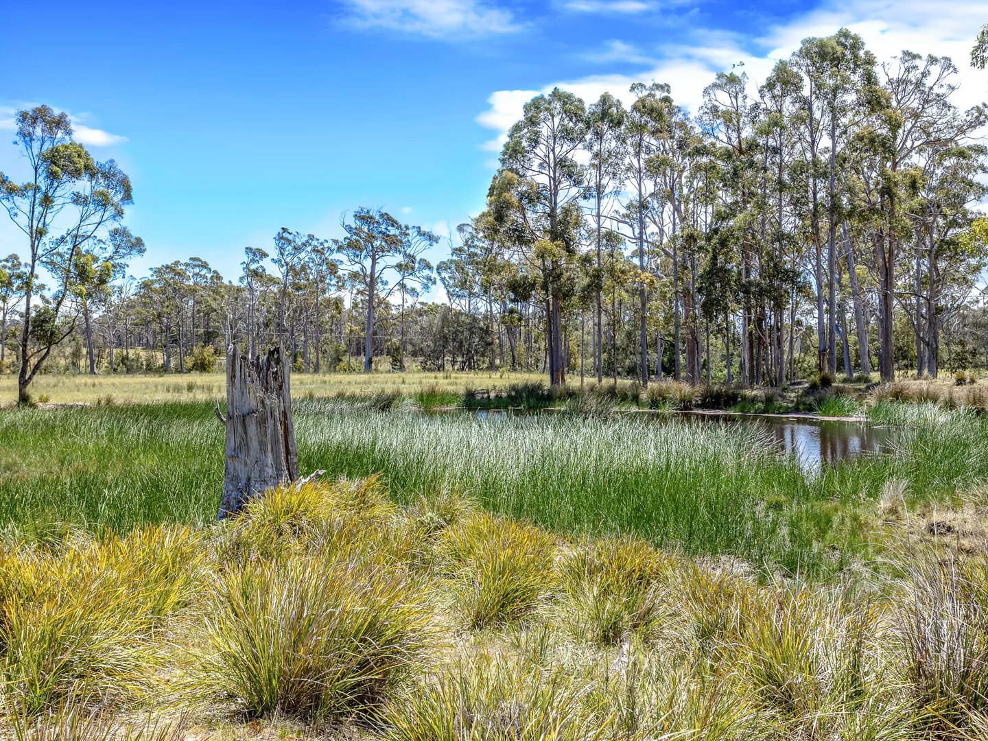 Additional image 3 of "Hurdle Road" 475 Saltwater River Road, Saltwater River TAS 7186