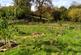 Additional image 10 of Maesquarre Road, Ammanford SA18