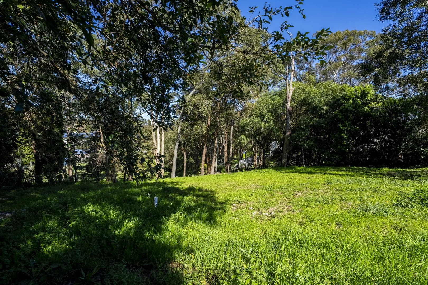 Additional image 4 of 88a Bayview Street, Warners Bay NSW 2282