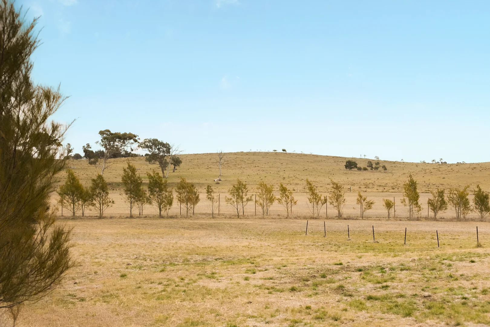 Additional image 34 of 71 Birril Close, Springrange NSW 2618