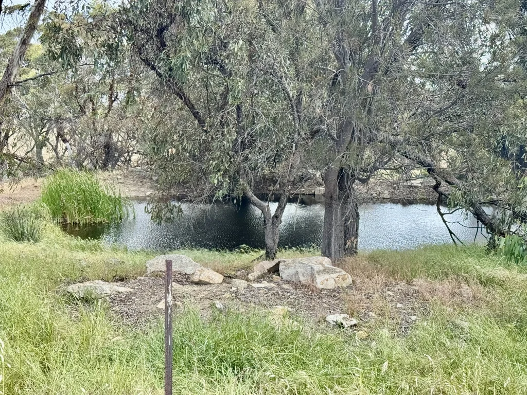 Additional image 2 of Lot 12 Young Road, Gwambygine WA 6302