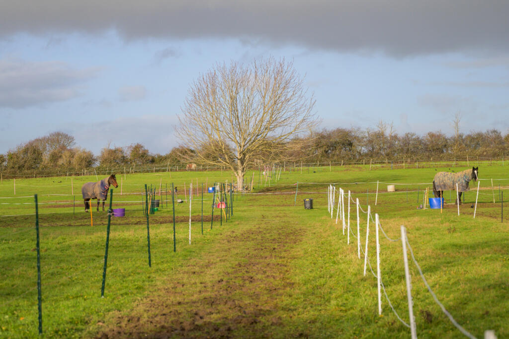 Additional image 20 of Queen Street, Tintinhull, Yeovil, Somerset, BA22