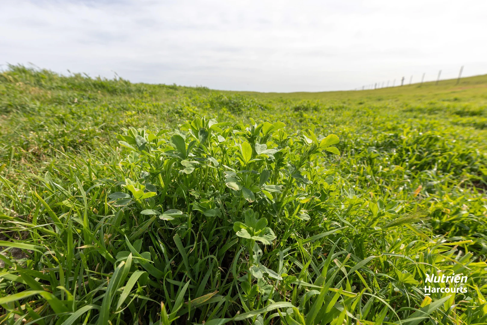 Additional image 2 of 18462 Princes Highway, Kingston Se SA 5275