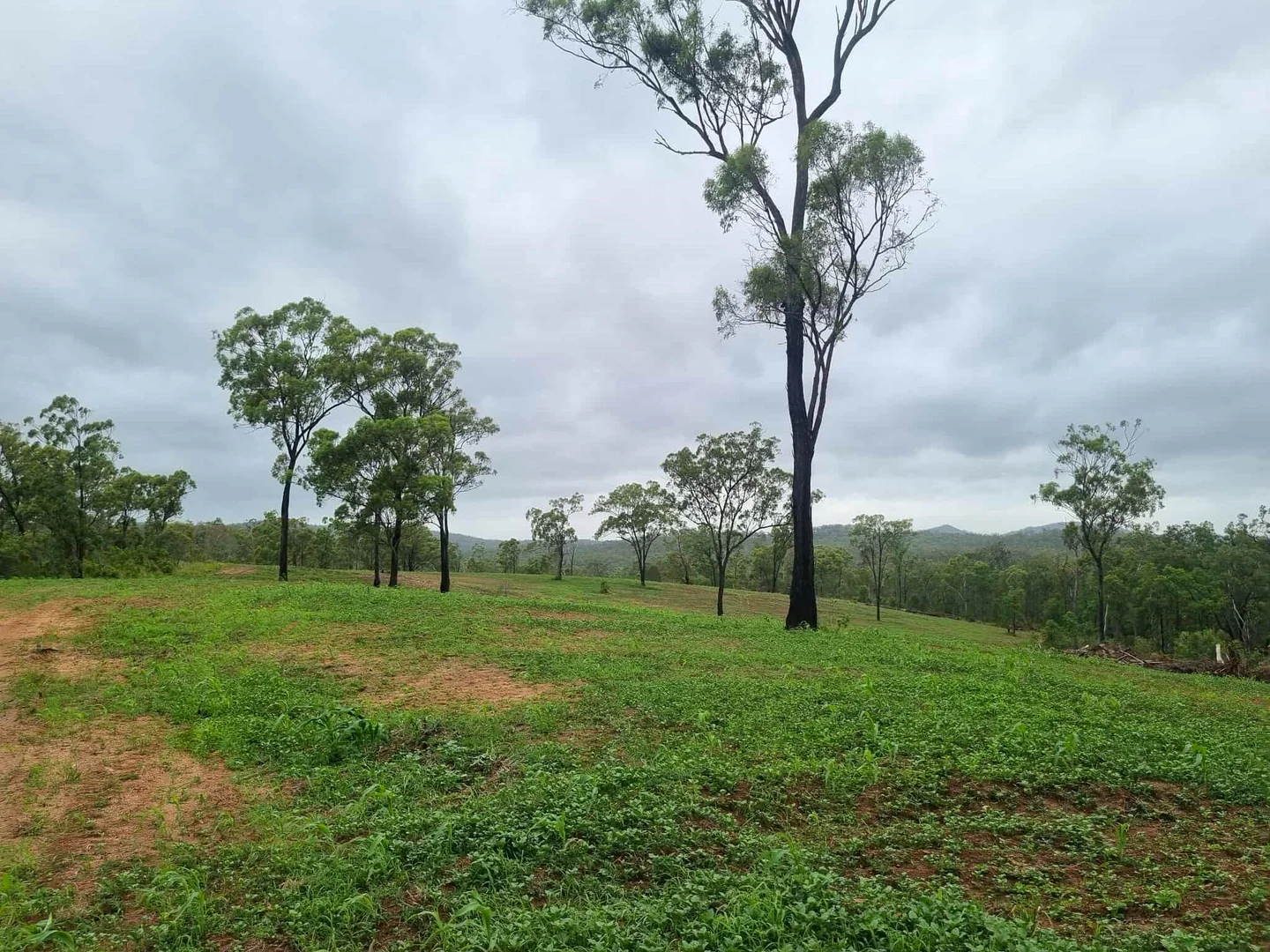 Additional image 4 of 700 John Clifford Way, Lowmead QLD 4676