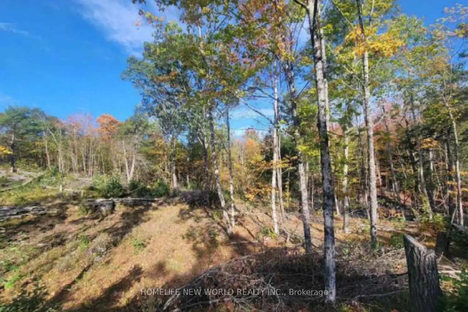 9967 County Road 41