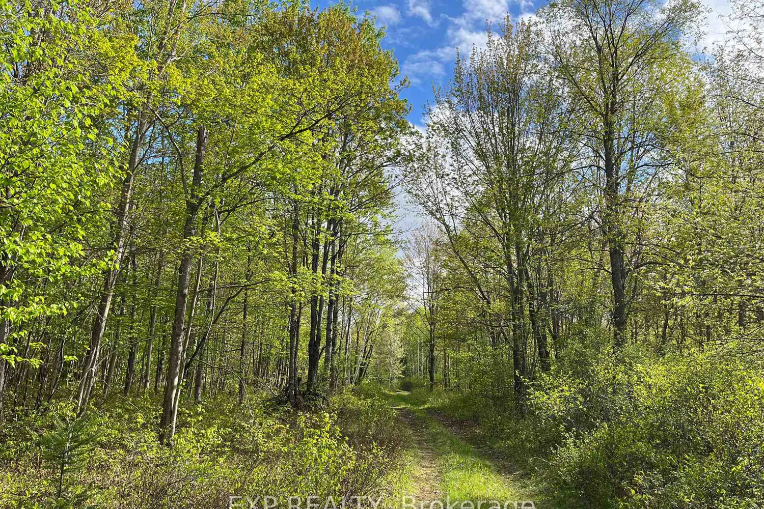 Additional image 7 of Lot 4 Sandy Shores Trail