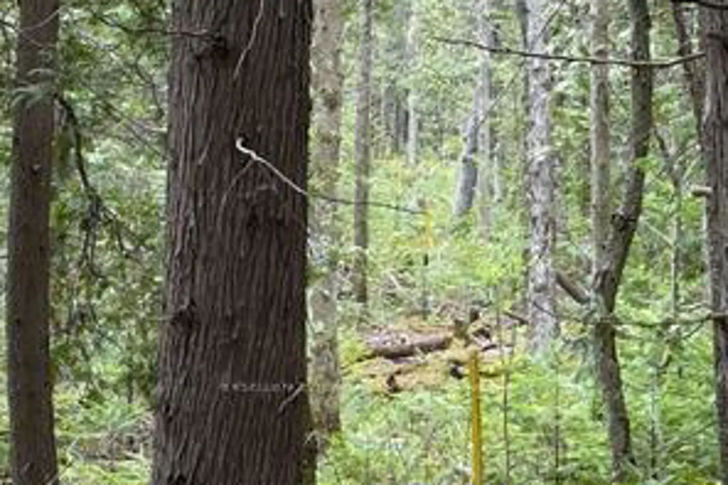 Additional image 3 of 00 Kenyon Acres