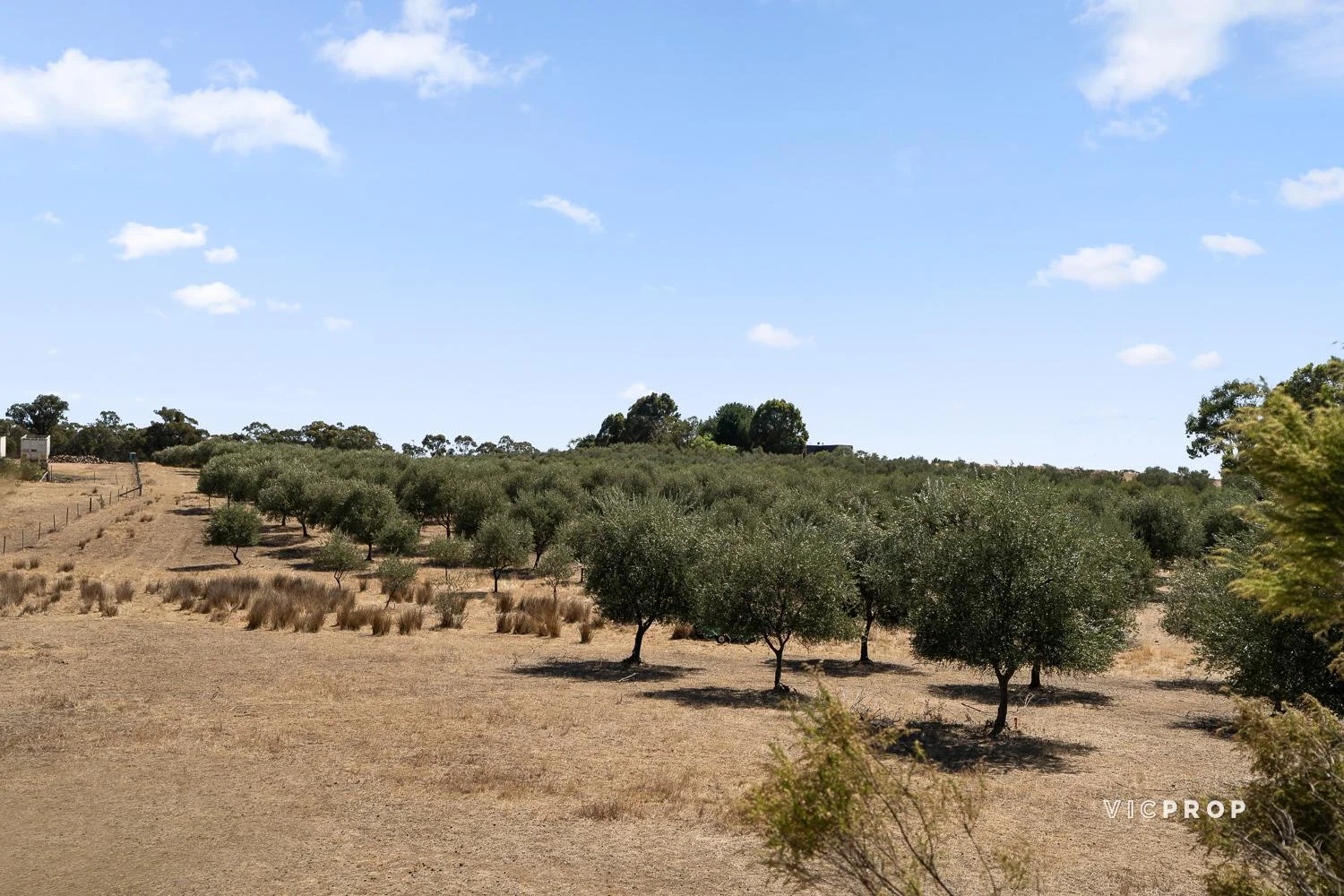 Additional image 9 of 3 Lewis Road, Ladys Pass VIC 3523