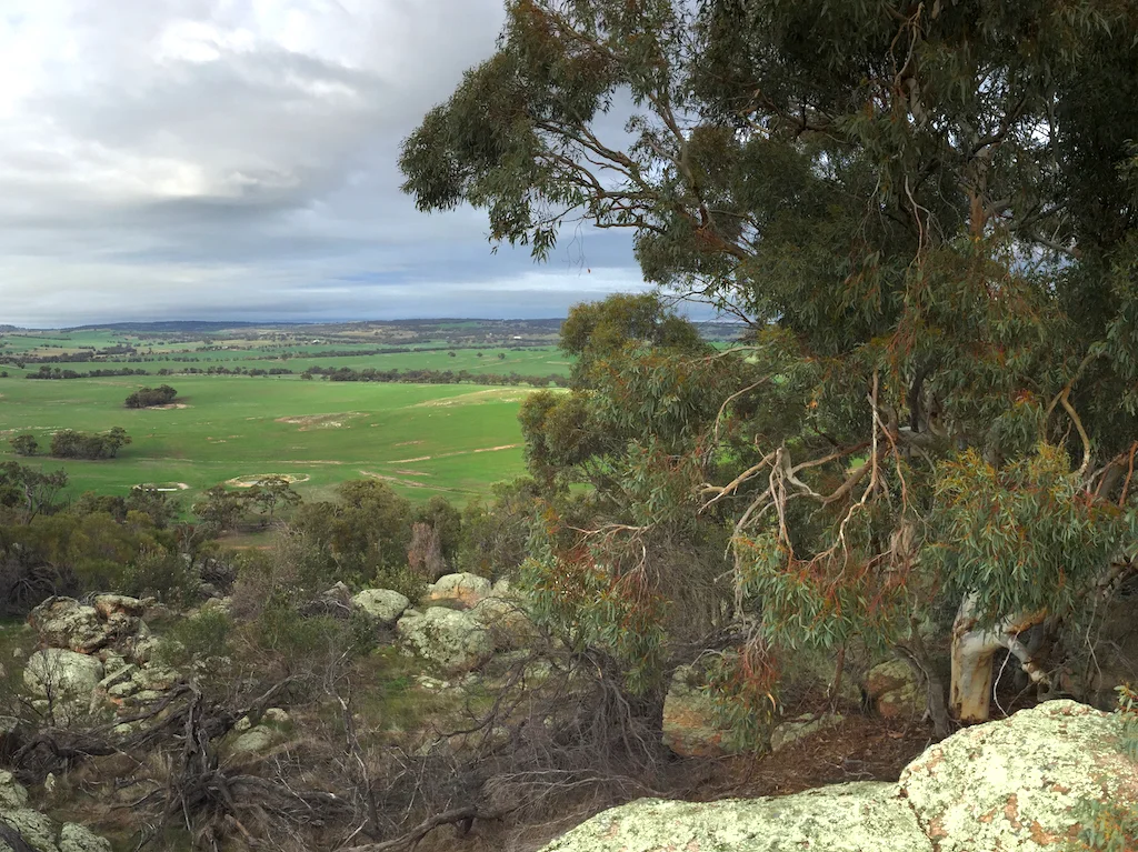 Additional image 28 of Lot 12 Young Road, Gwambygine WA 6302