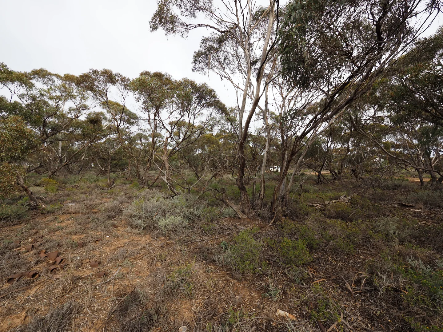 Additional image 19 of Lots 1-6, Towns Street, Chillingollah VIC 3585