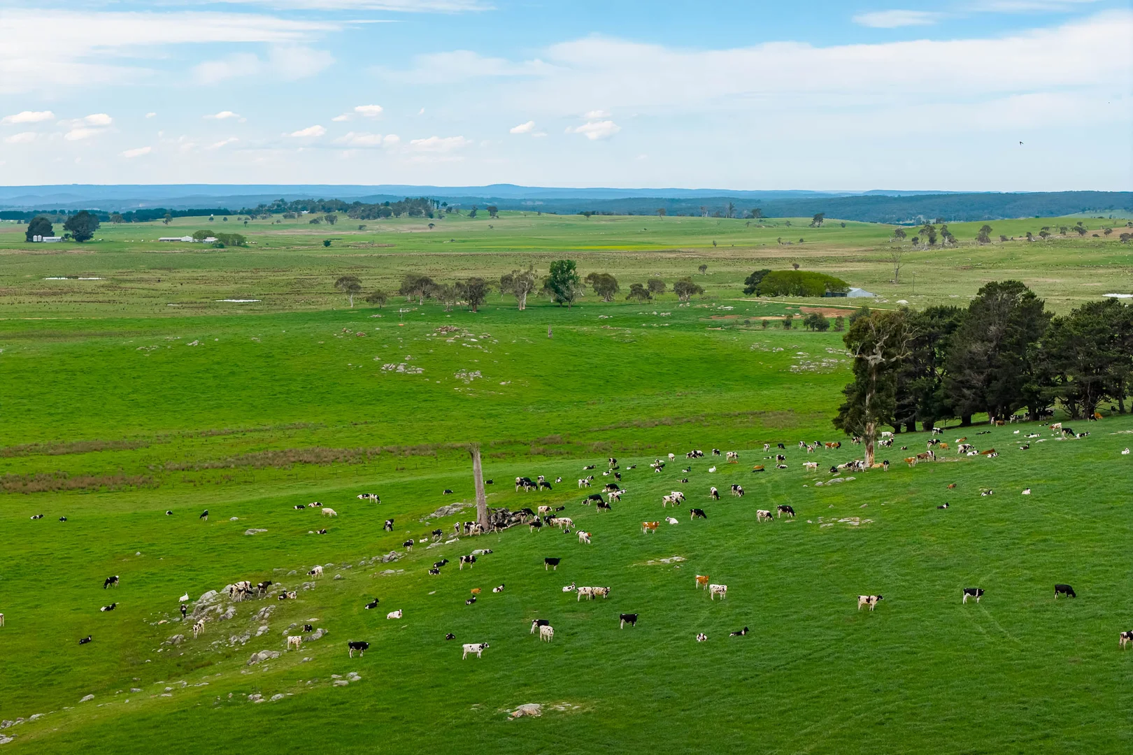 Additional image 3 of 808 Carrabungla Road, Roslyn via, Crookwell NSW 2583