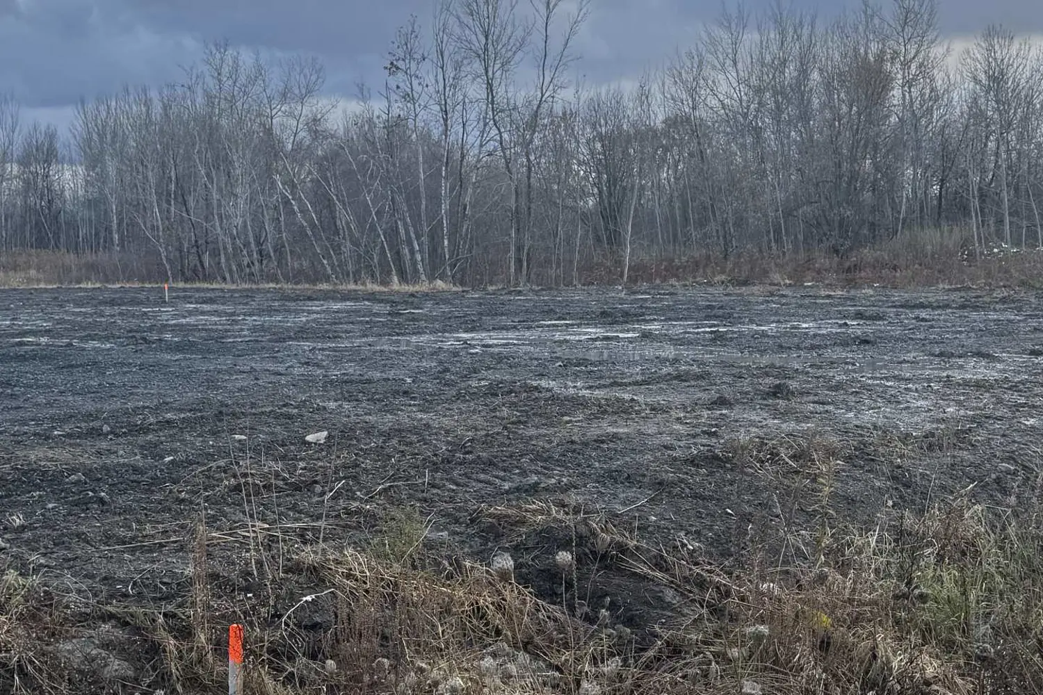 Additional image 3 of Block 8 South Beech Street