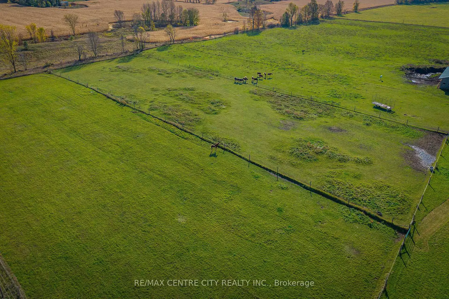 Additional image 14 of 442146 Concession Road 8