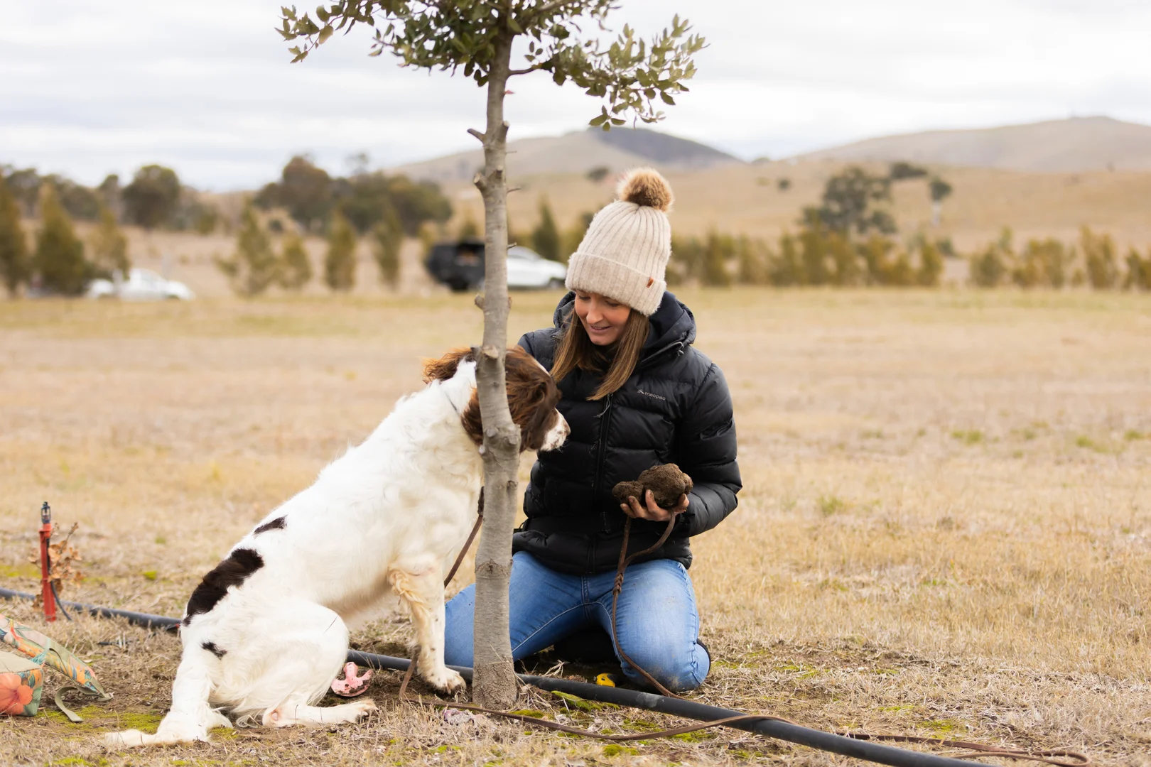 Additional image 38 of 71 Birril Close, Springrange NSW 2618