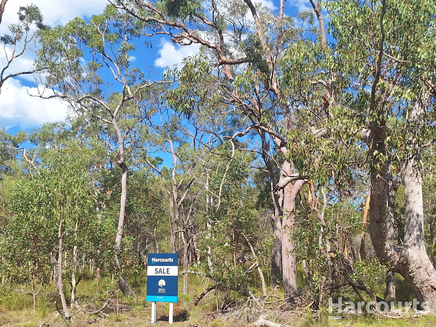 Additional image 2 of 8 Ranch Park Drive, Pacific Haven QLD 4659