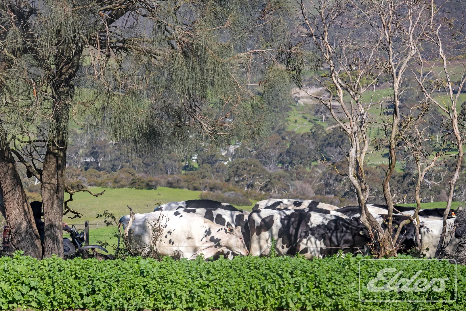 Additional image 18 of 101 Nottle Road, Lower Inman Valley SA 5211