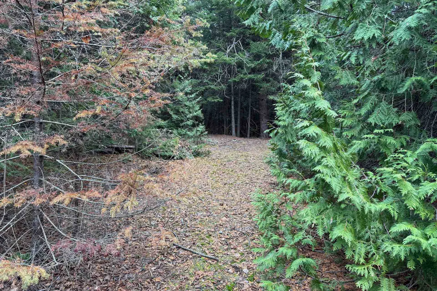 Additional image 4 of 915 Third Avenue