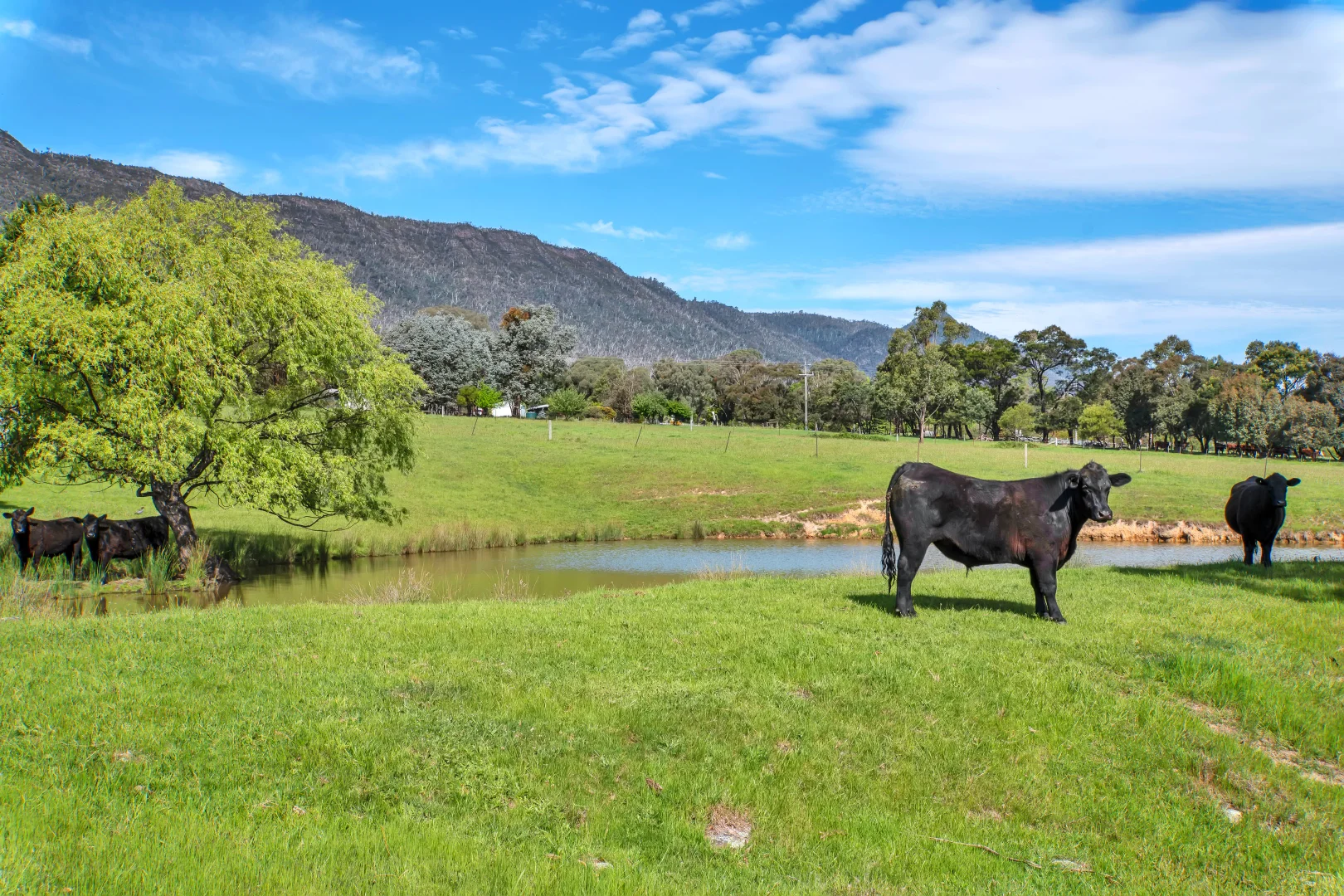 Additional image 26 of 2781 Maroondah Highway, Taggerty VIC 3714