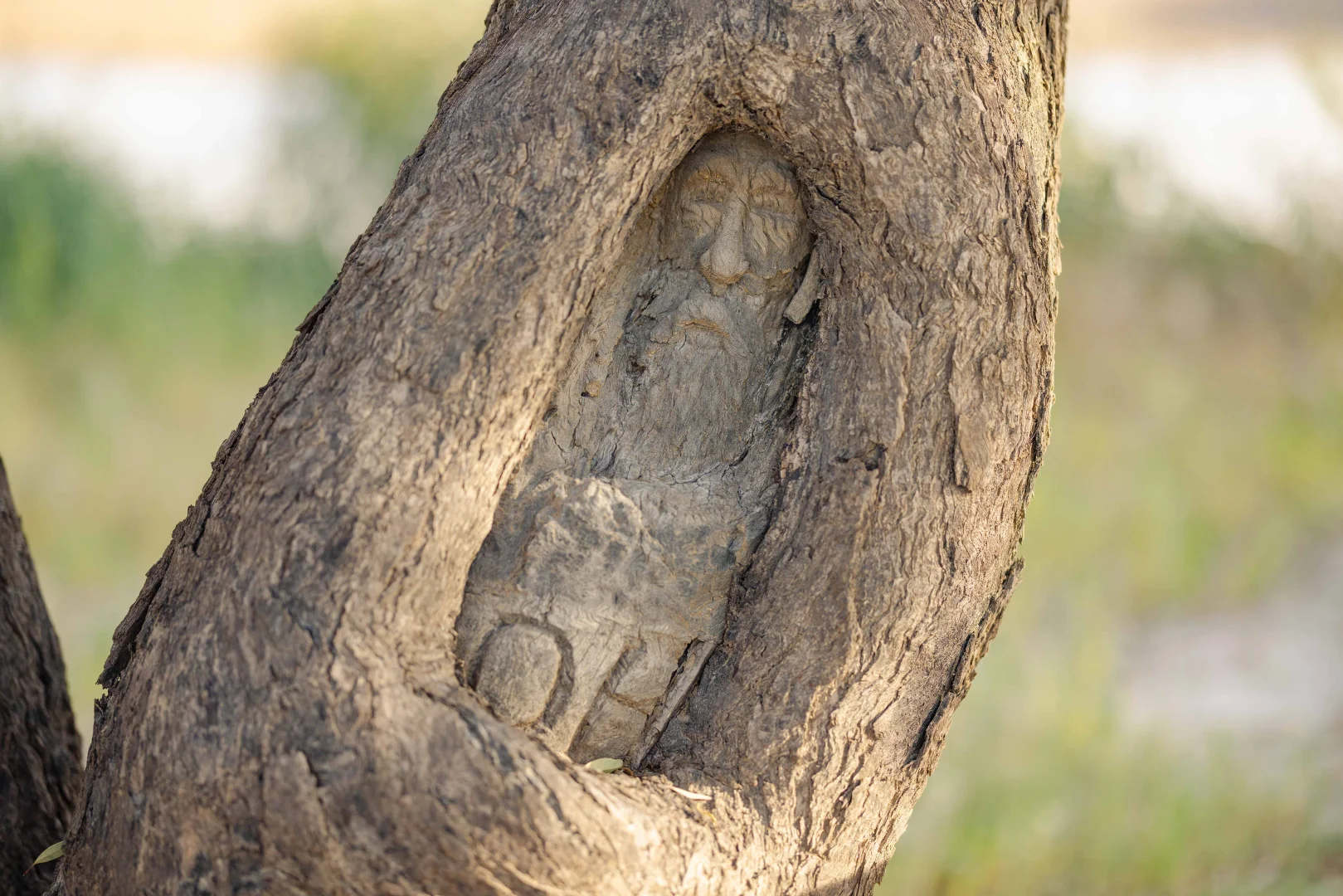 Additional image 10 of Durham QLD 4492