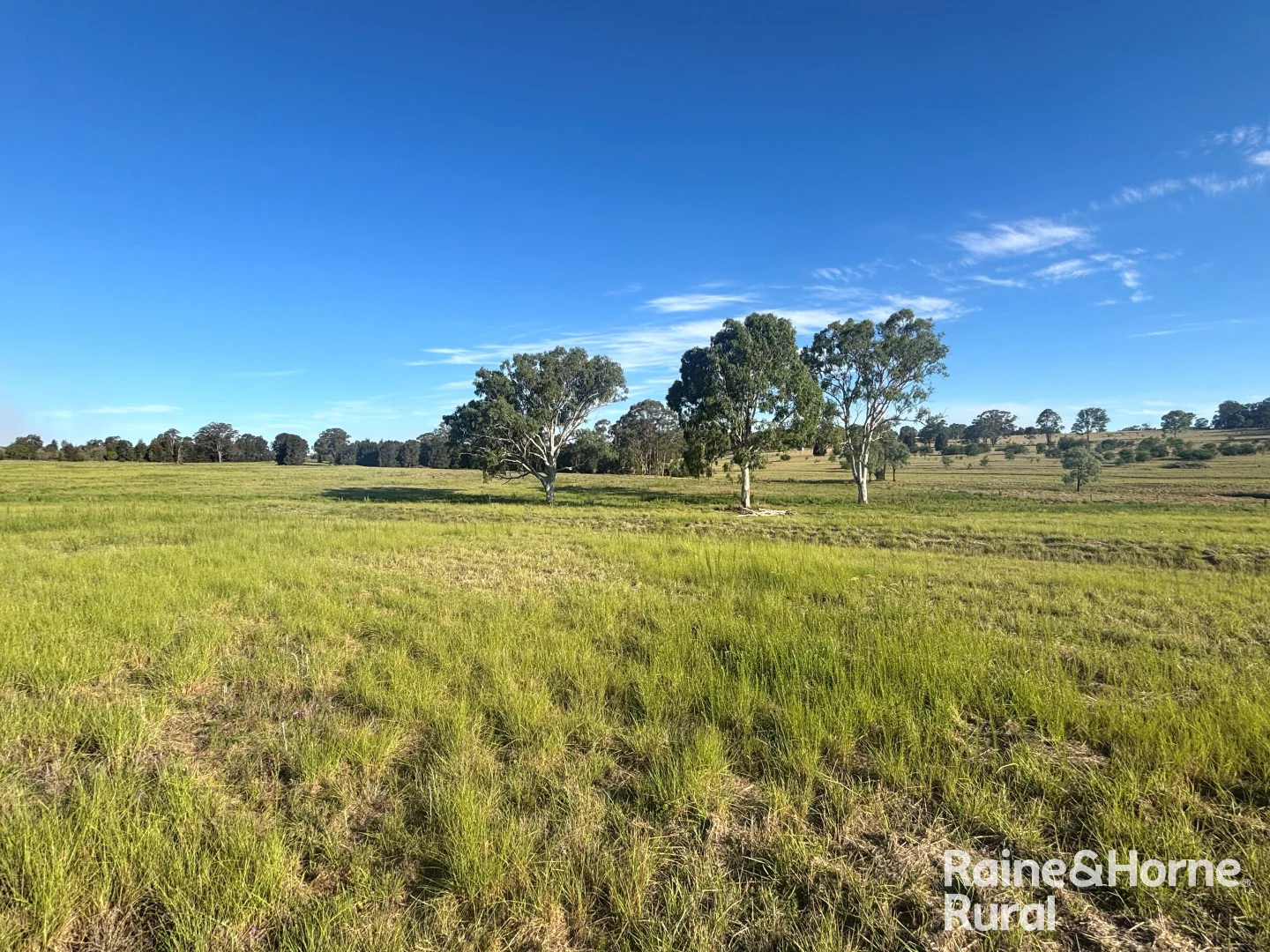 Additional image 39 of 72 Shailers Road, Wooroolin QLD 4608