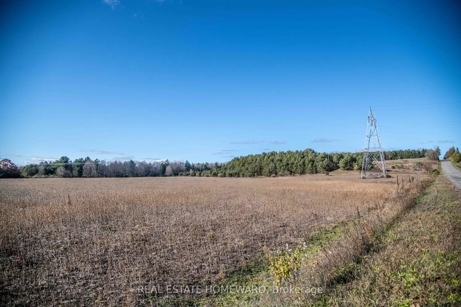 Additional image 4 of 4856 Cold Springs Camp Road