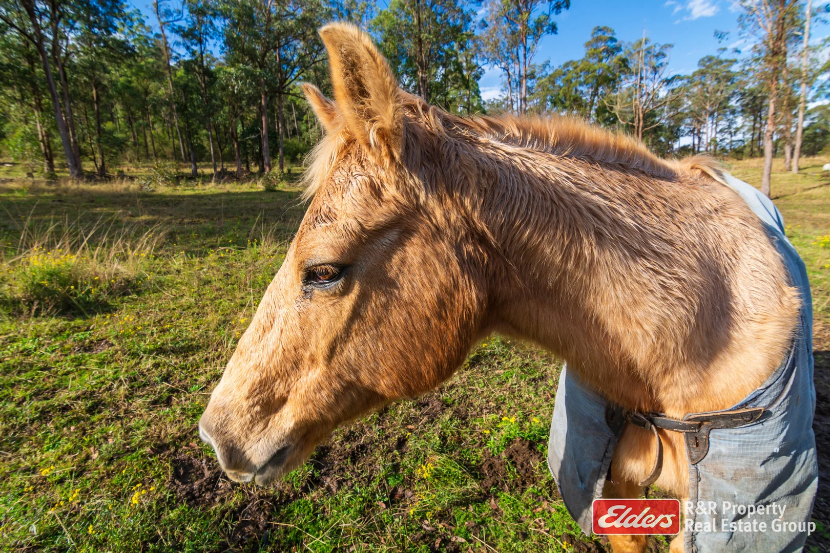 Additional image 32 of 4 Bede Street, Stroud NSW 2425