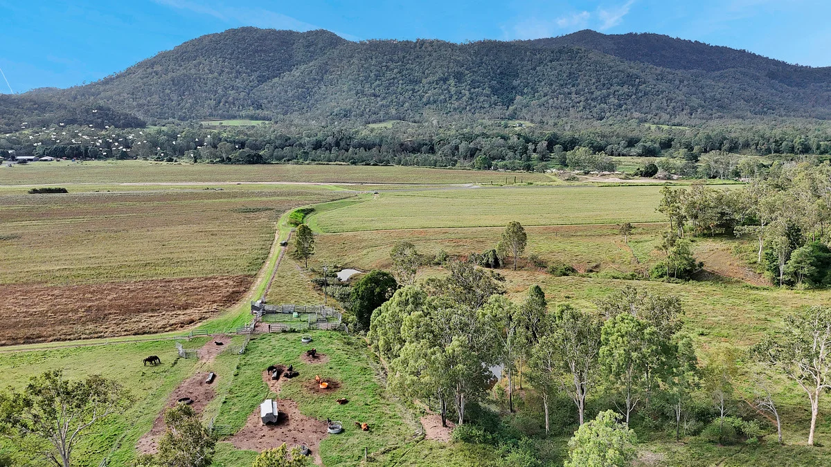 Additional image 14 of 8 Pinevale Road, Pinevale QLD 4754