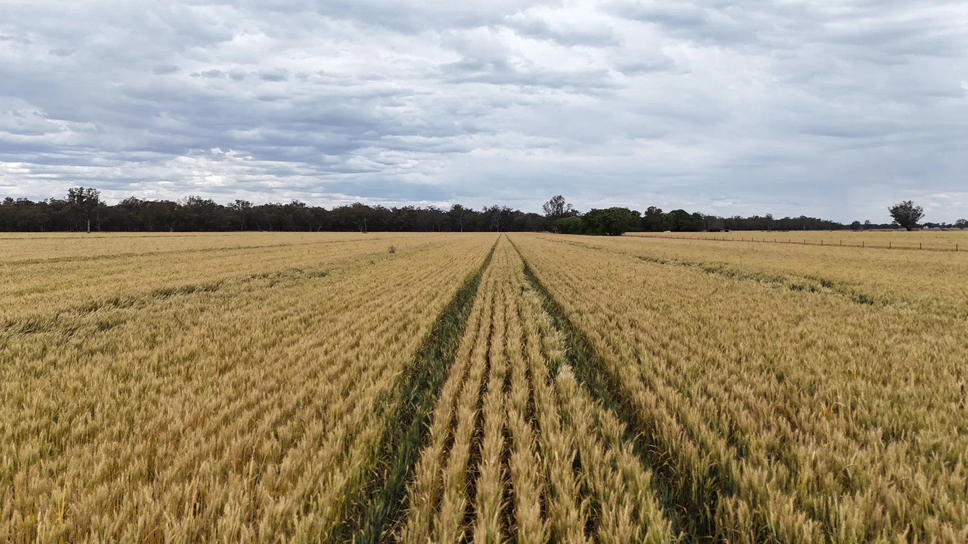 Additional image 10 of 69 Ercildoune Lane South, Forbes NSW 2871