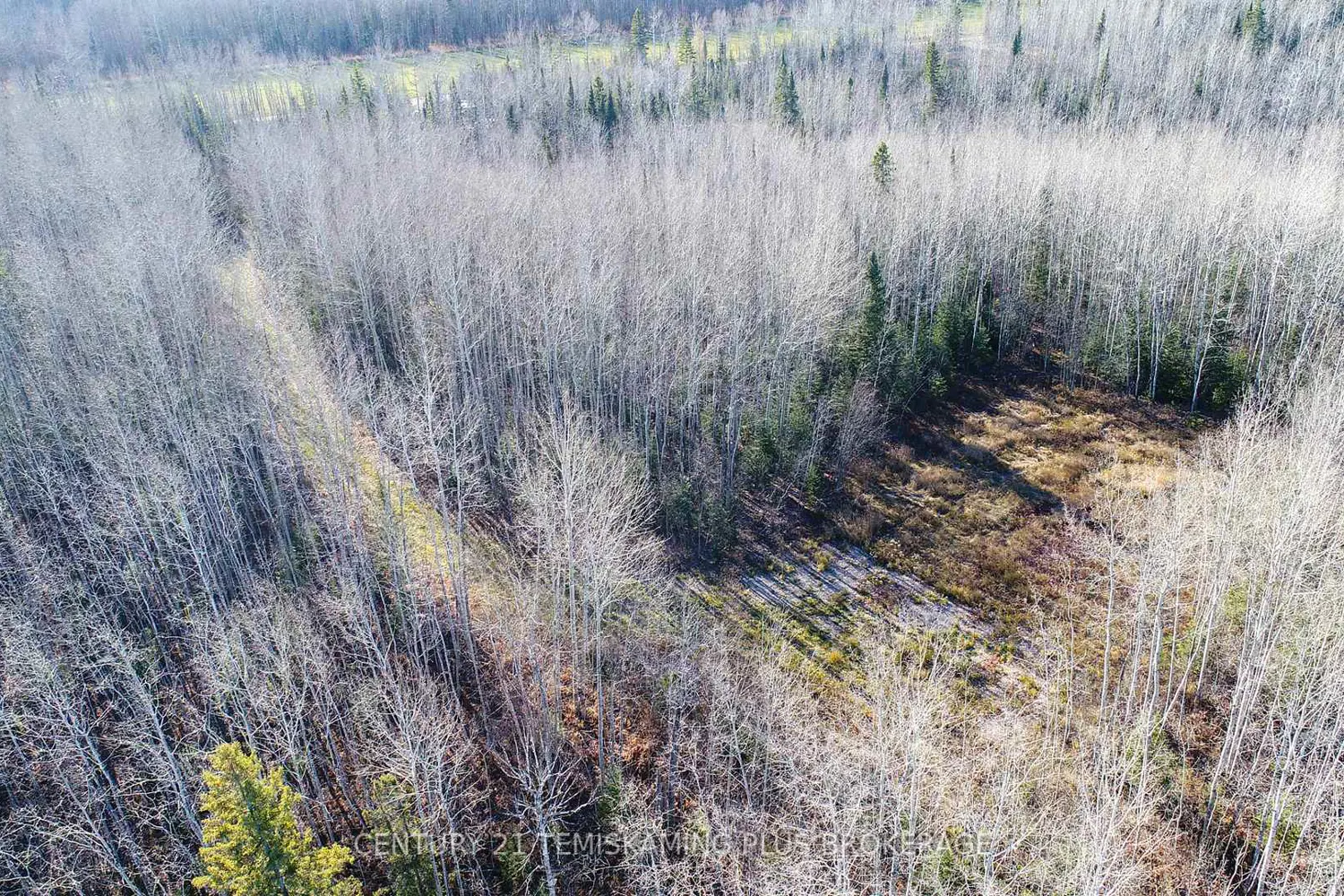 Additional image 15 of Pt 4 Cabin Road