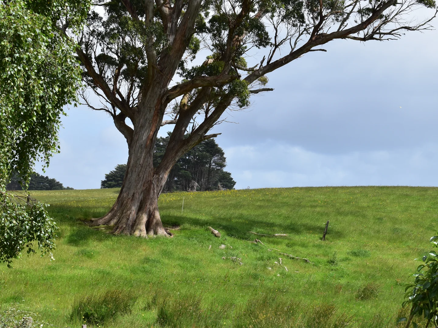 Additional image 20 of 822 Mengha Road, South Forest TAS 7330