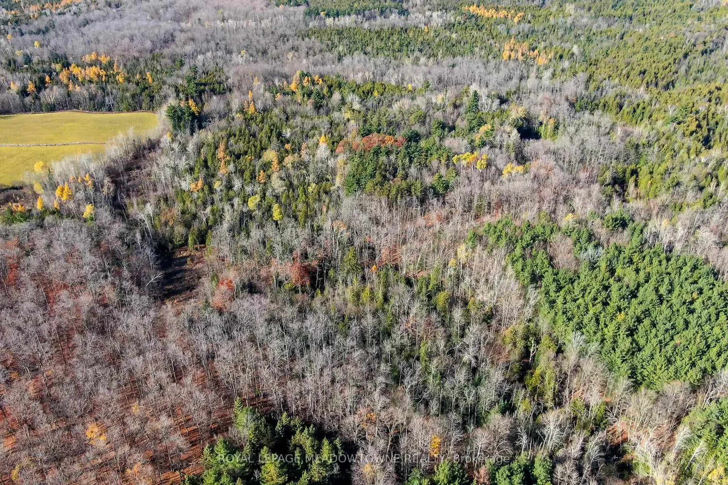 Additional image 7 of 9328 Wellington 50 Road